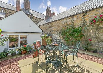 Harry's Den